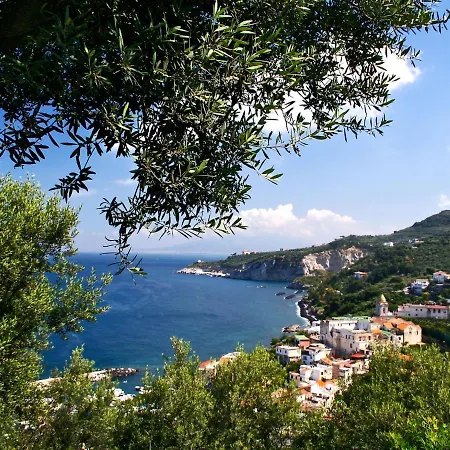 Dei Limoni- Panoramic Sea View By Interhome Holiday home *